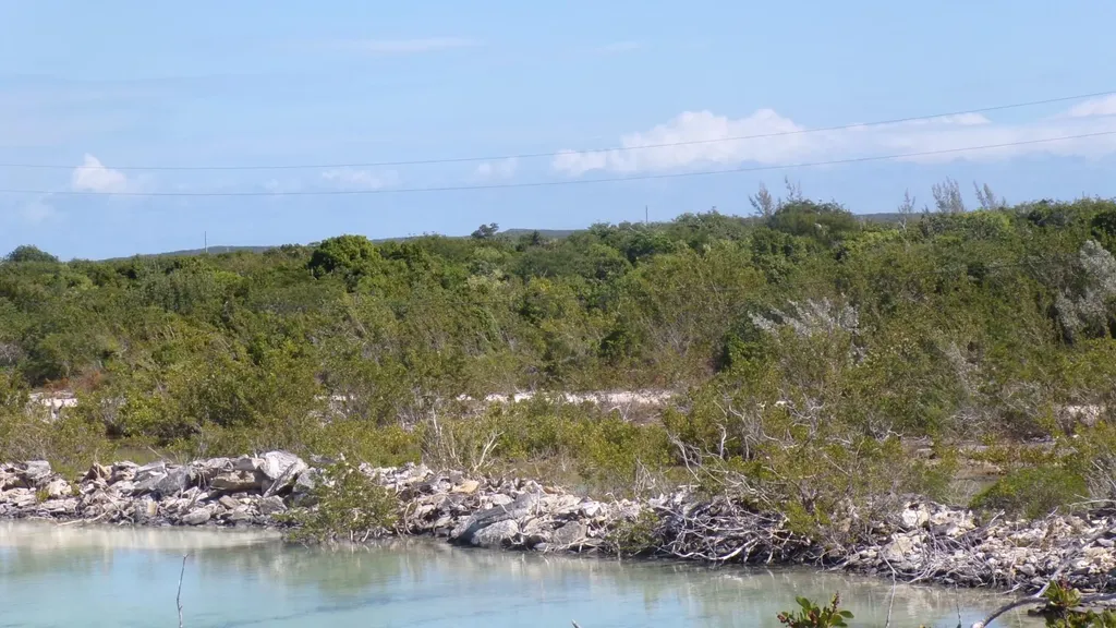 Cabbage Point Long Island BS