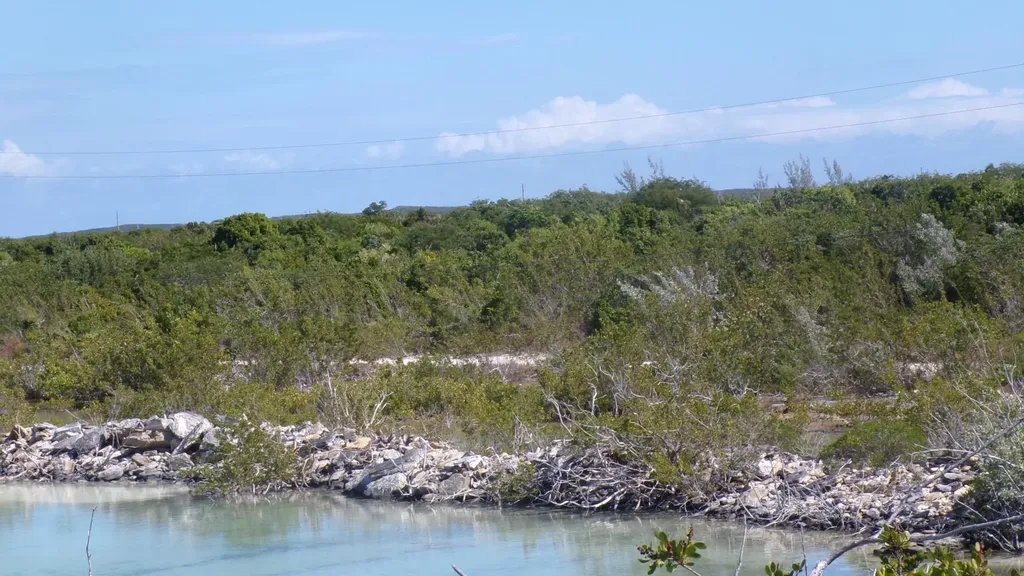 Cabbage Point Long Island BS