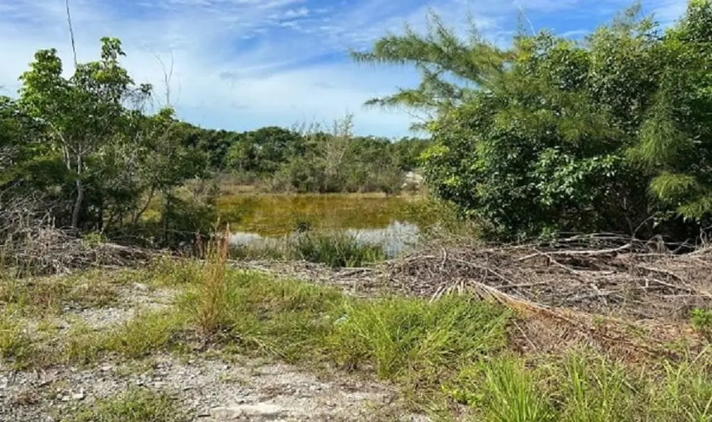 Love Hill, Andros Andros BS