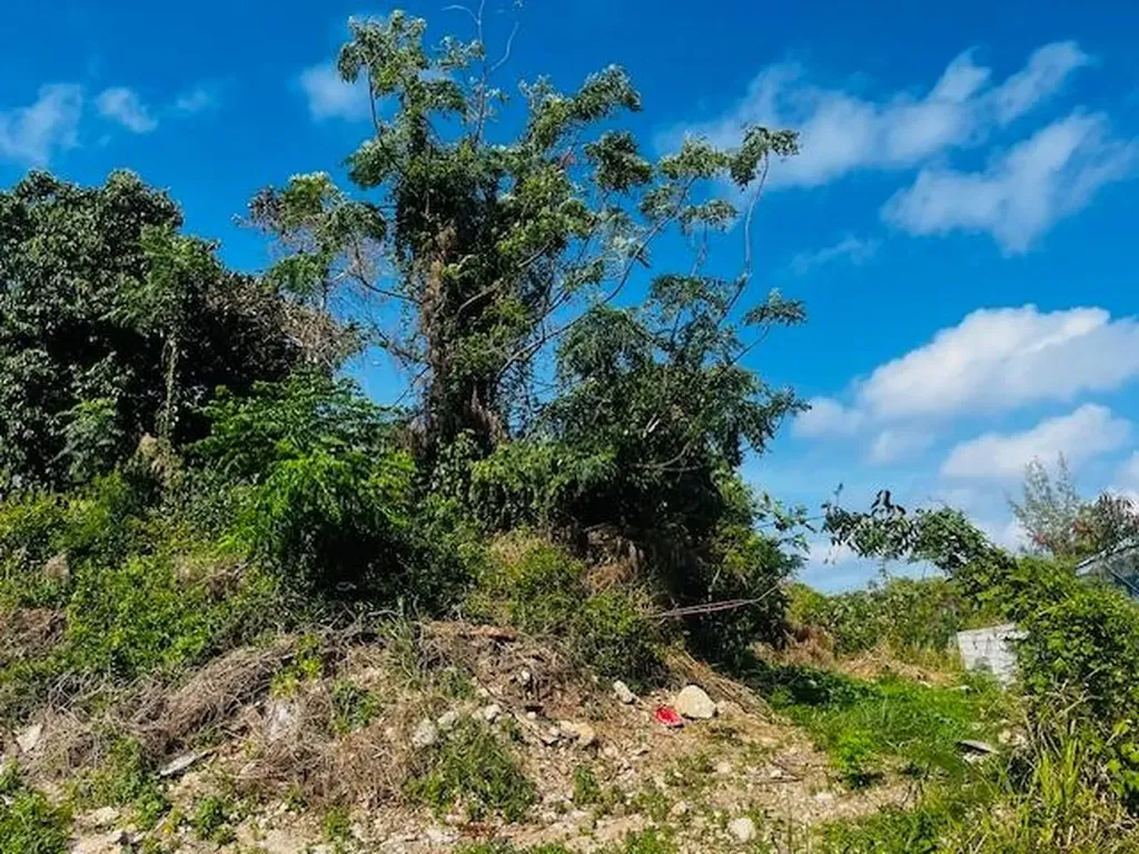 Lot 86 Saffron Hill New Providence Paradise Island BS