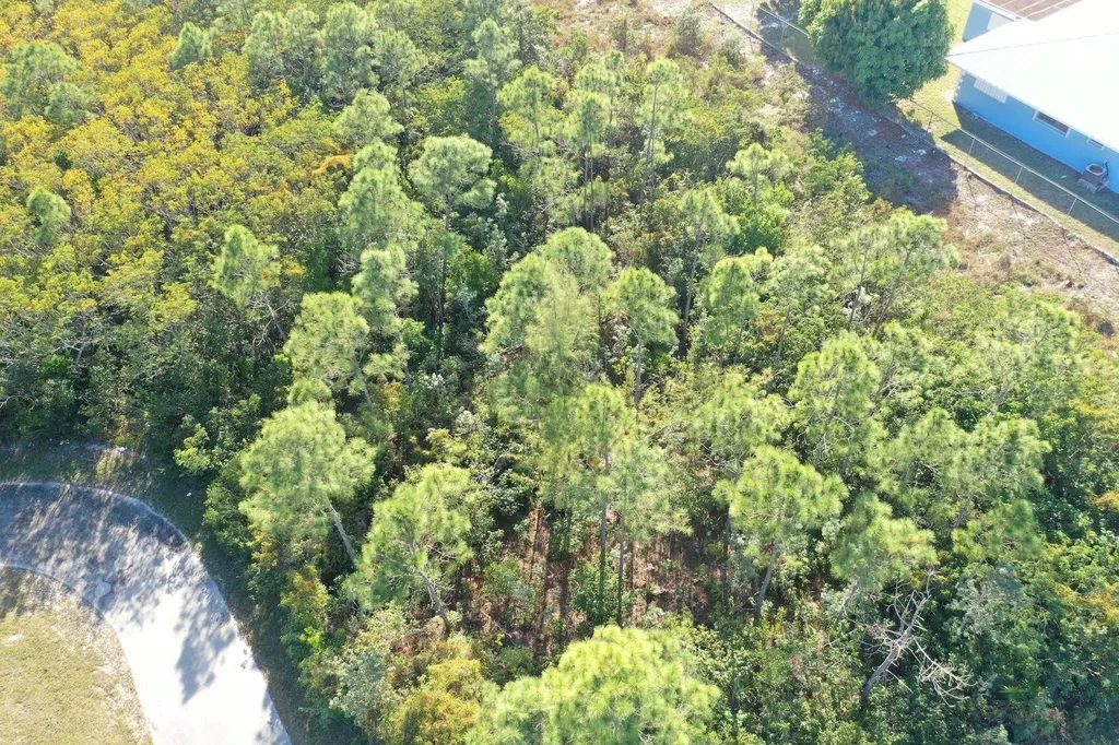 Lot 7, South Bahamia Grand Bahama Freeport BS