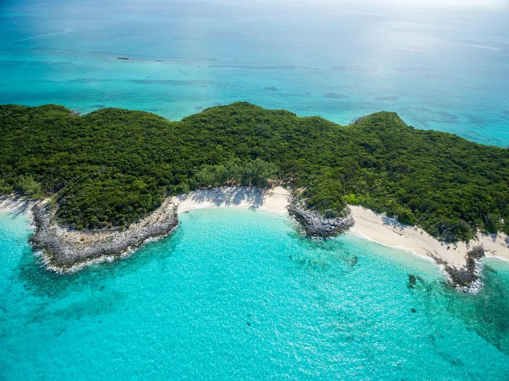 Rose Island Rose Island BS