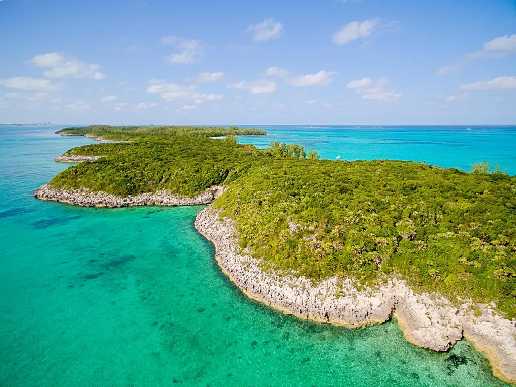 Rose Island Rose Island BS