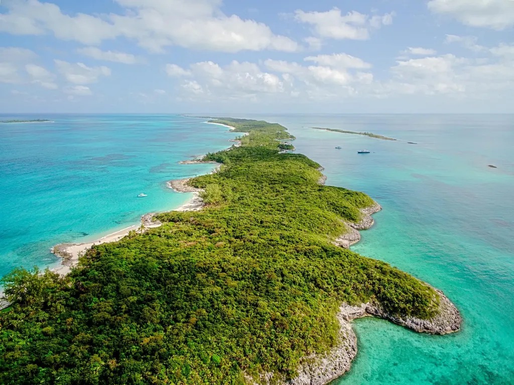 Rose Island Rose Island BS