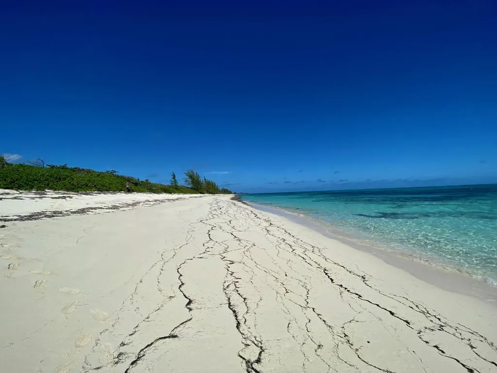 Freeman Hall Estate Cat Island BS