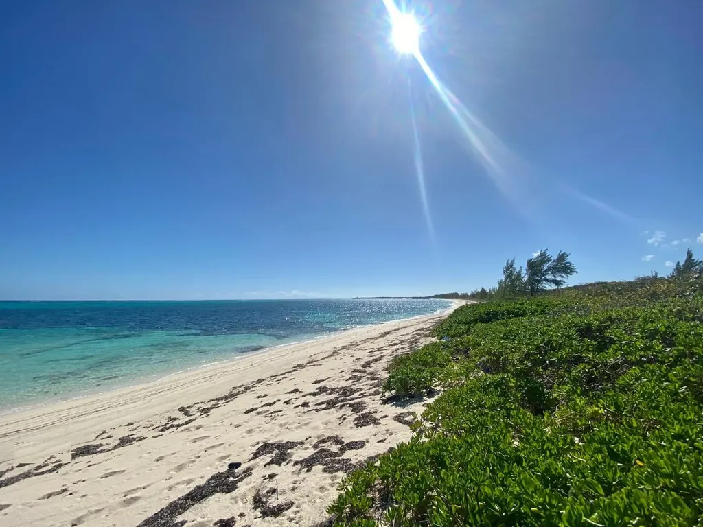 Freeman Hall Estate Cat Island BS