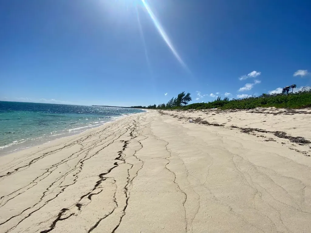 Freeman Hall Estate Cat Island BS