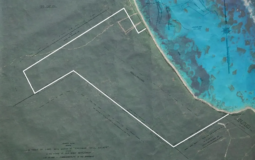 Freeman Hall Estate Cat Island BS