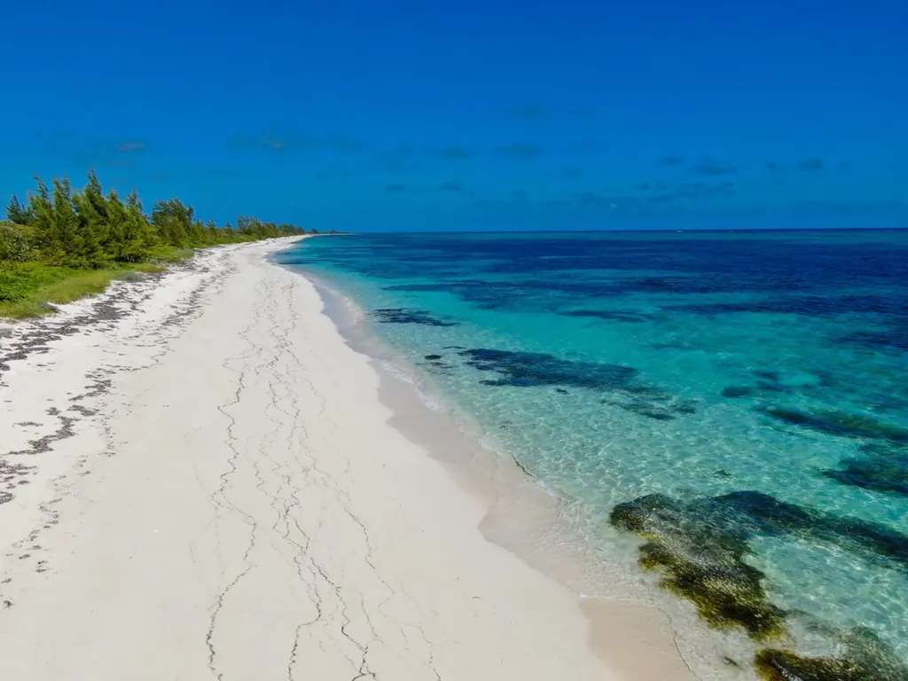 Freeman Hall Estate Cat Island BS