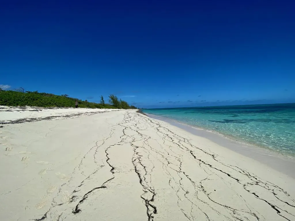 Freeman Hall Estate Cat Island BS