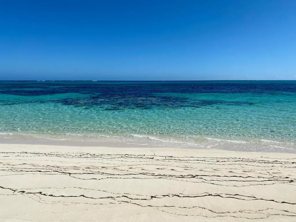 Freeman Hall Estate Cat Island BS