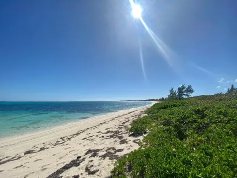 Freeman Hall Estate Cat Island BS