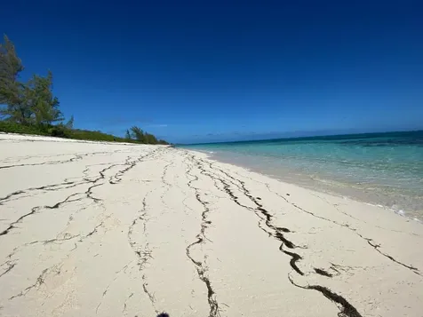 Freeman Hall Estate Cat Island BS