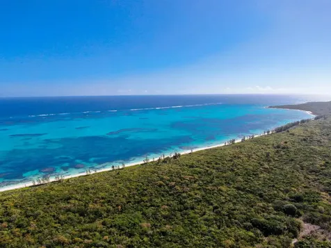 Freeman Hall Estate Cat Island BS