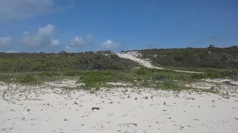 Jew Fish Hill, Parcel 1 Acklins BS