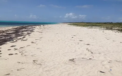 Jew Fish Hill, Lot D Acklins BS