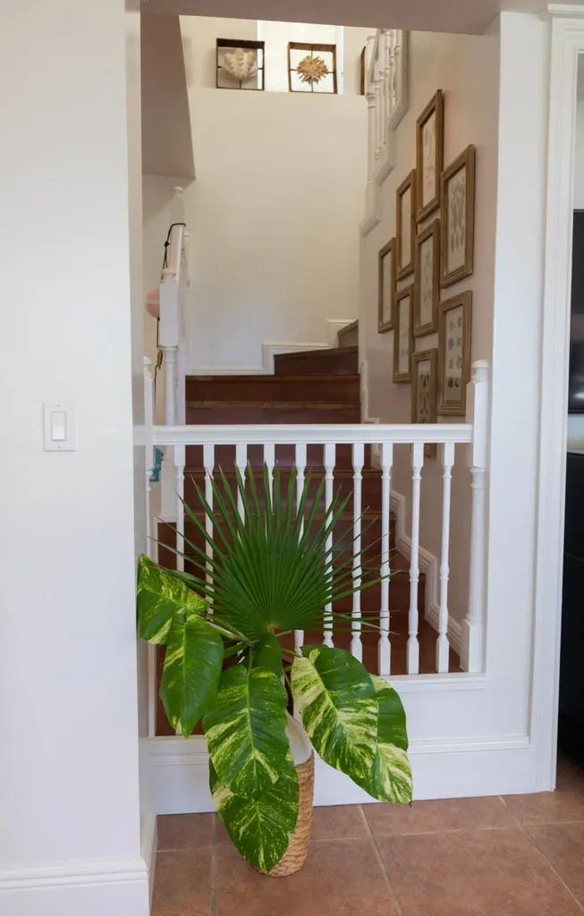 White House Villa Eleuthera BS