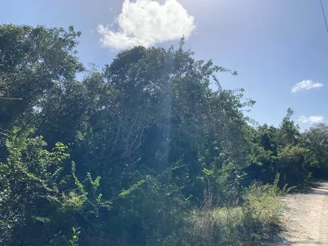 Deep Creek East Andros BS