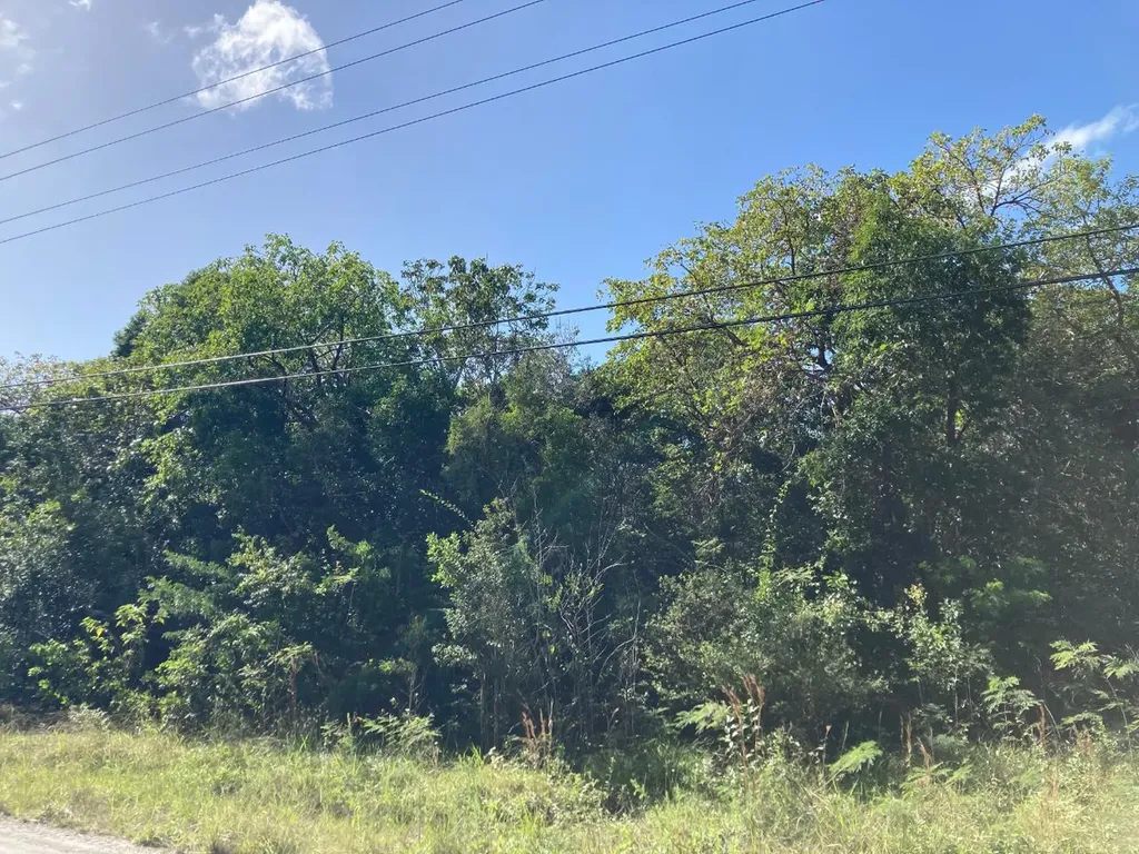 Deep Creek West Andros BS