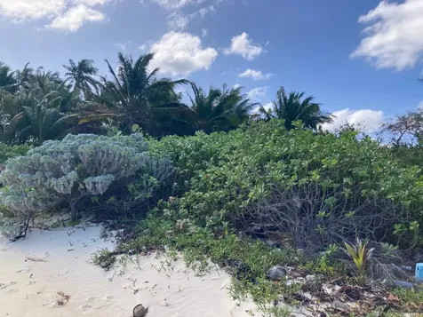 Johnson Road Bay Andros BS