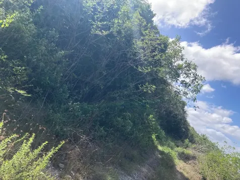 Deep Creek East Andros BS