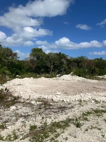 Wellfield Street Andros BS