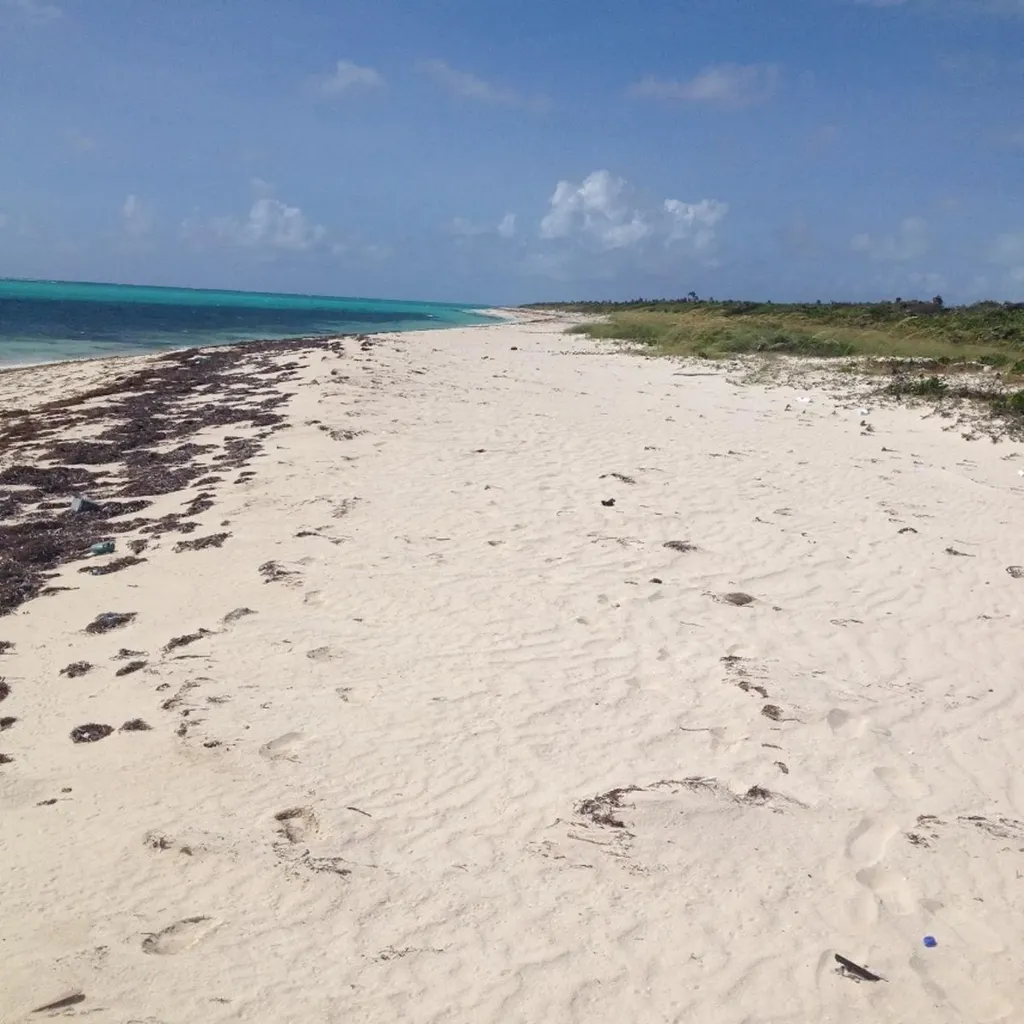 Lot E, Jewfish Hill Acklins BS