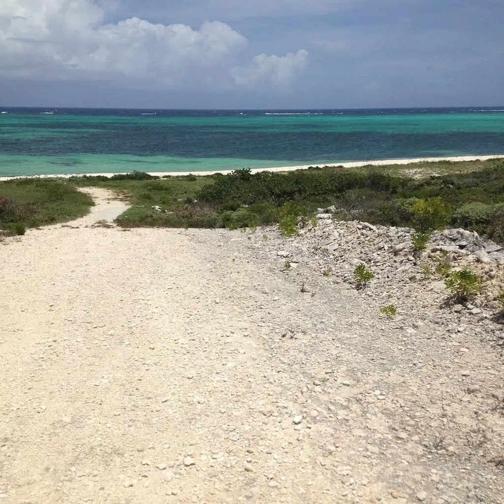 Lot #4, Jewfish Hill Acklins BS