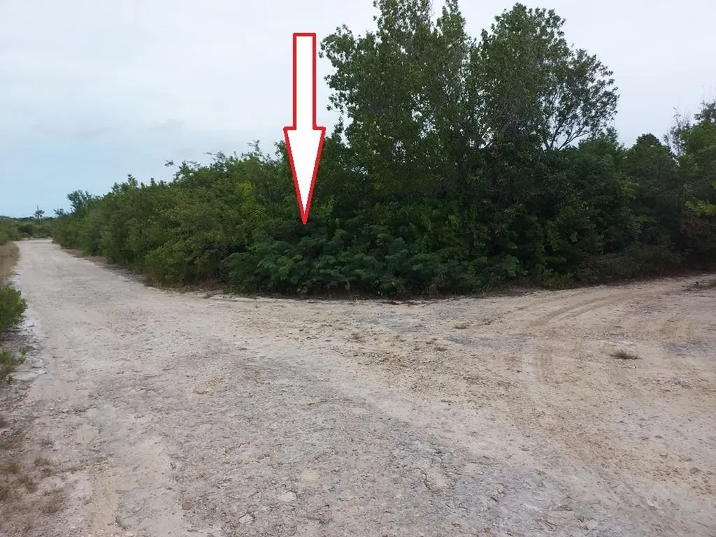 741 Bahama Drive Exuma BS