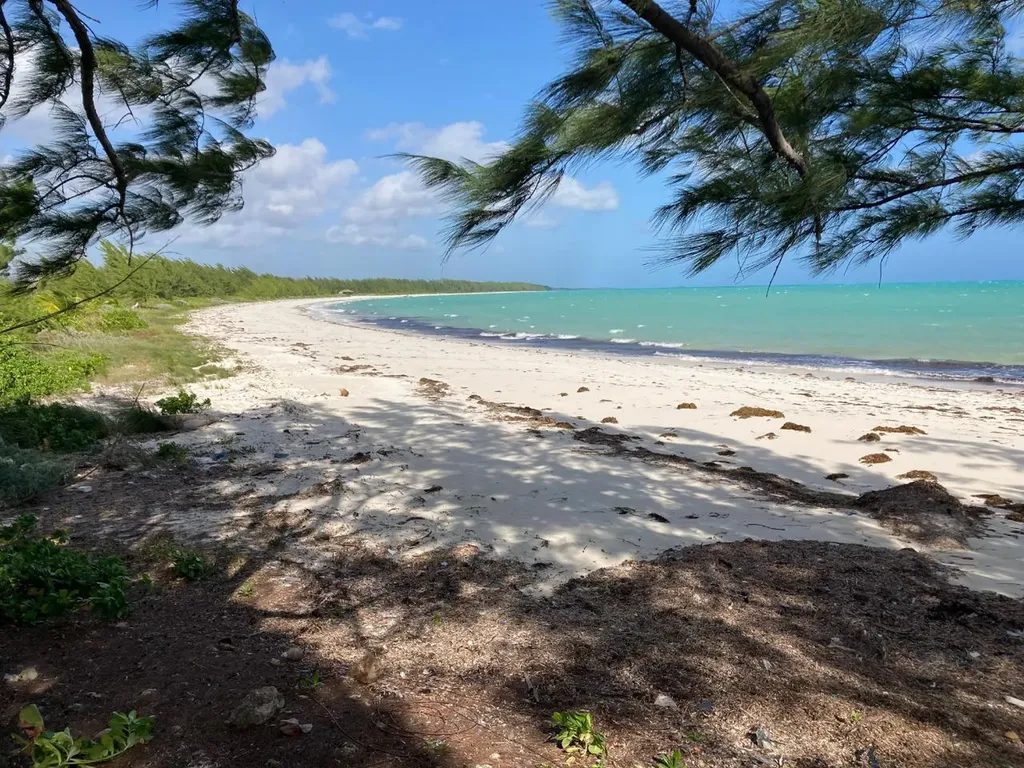 Rahming Road Andros BS