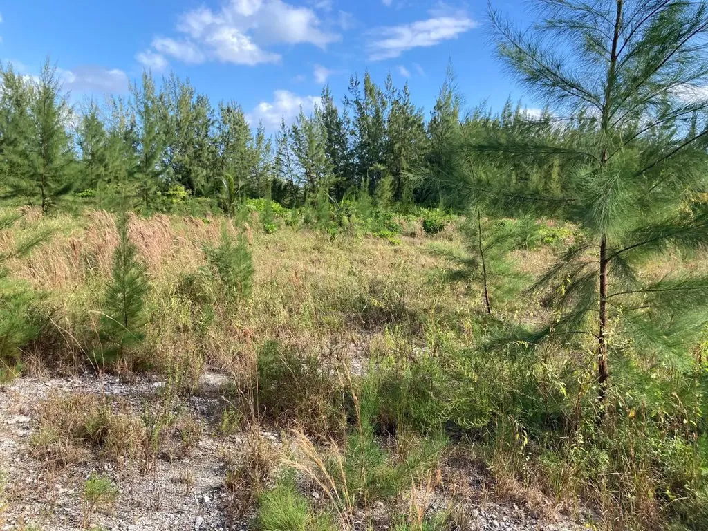 Rahming Road Andros BS