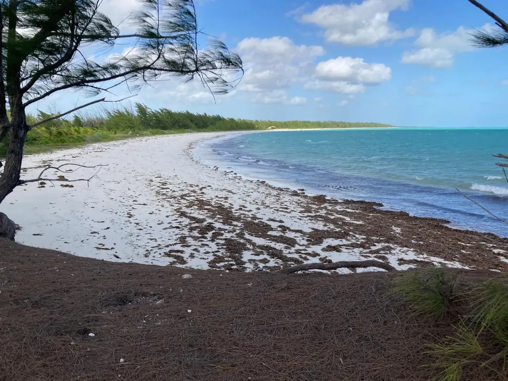 Rahming Road Andros BS