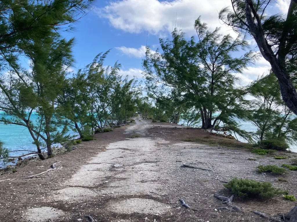 Rahming Road Andros BS