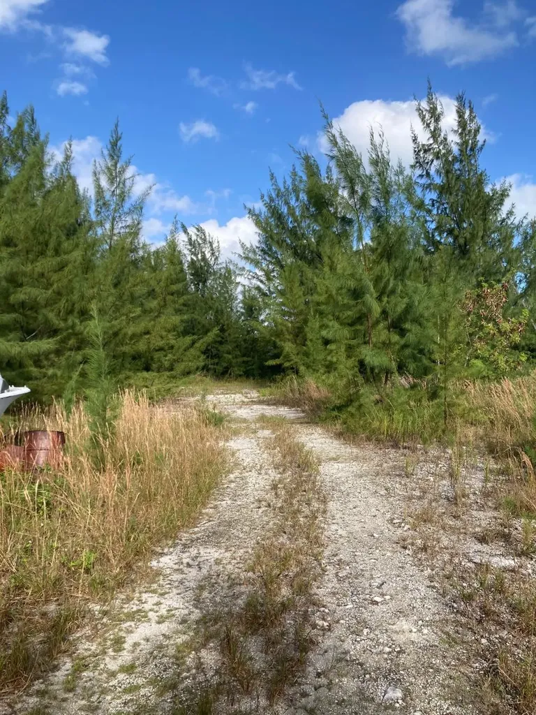 Rahming Road Andros BS