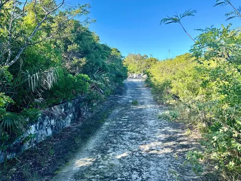 Tar Bay, Exuma Exuma BS