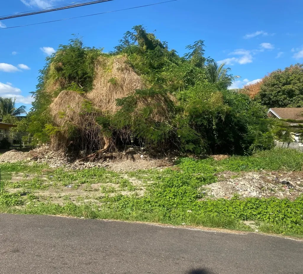 Winters Drive New Providence Paradise Island BS