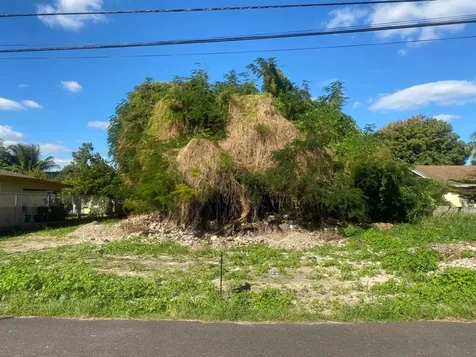 Winters Drive New Providence Paradise Island BS