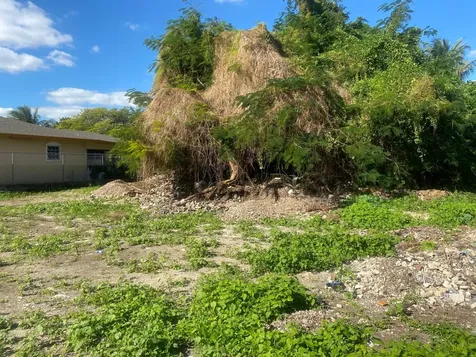 Winters Drive New Providence Paradise Island BS