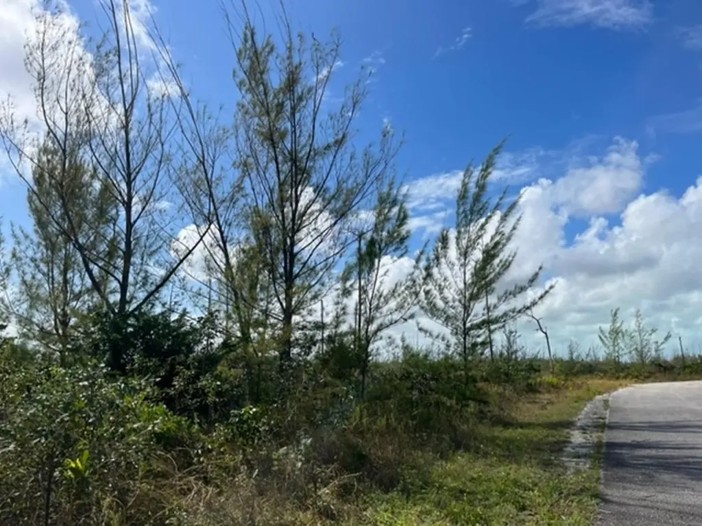 Caravelle Bay Lot Grand Bahama Freeport BS