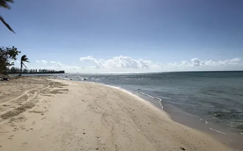 Blue Marlin Cove Grand Bahama Freeport BS