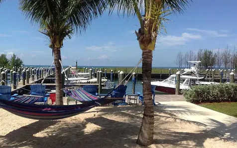 Blue Marlin Cove Grand Bahama Freeport BS