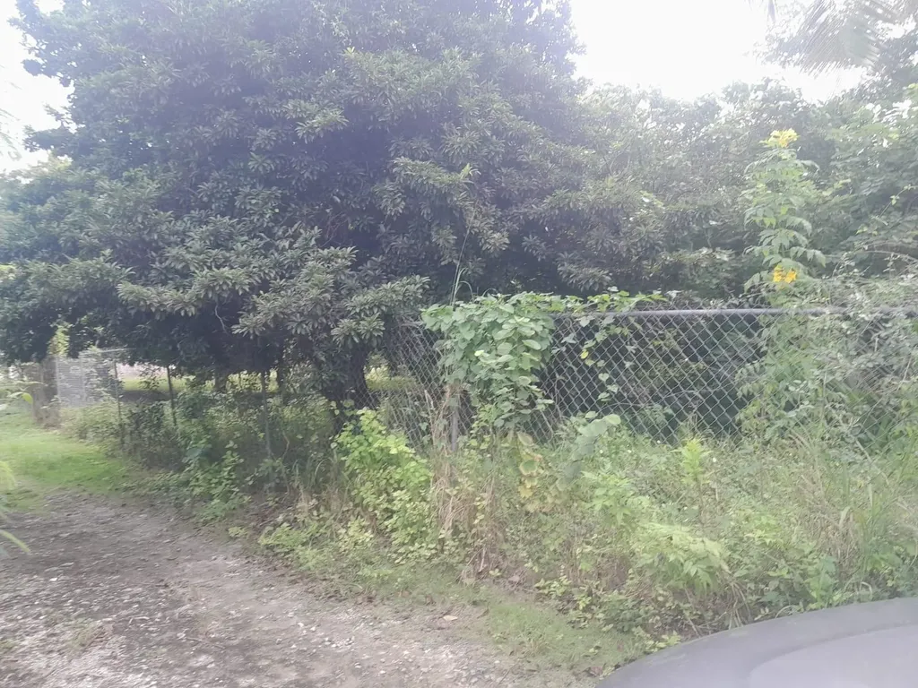 Lot 8 & 10 Ferguson Villa New Providence Paradise Island BS