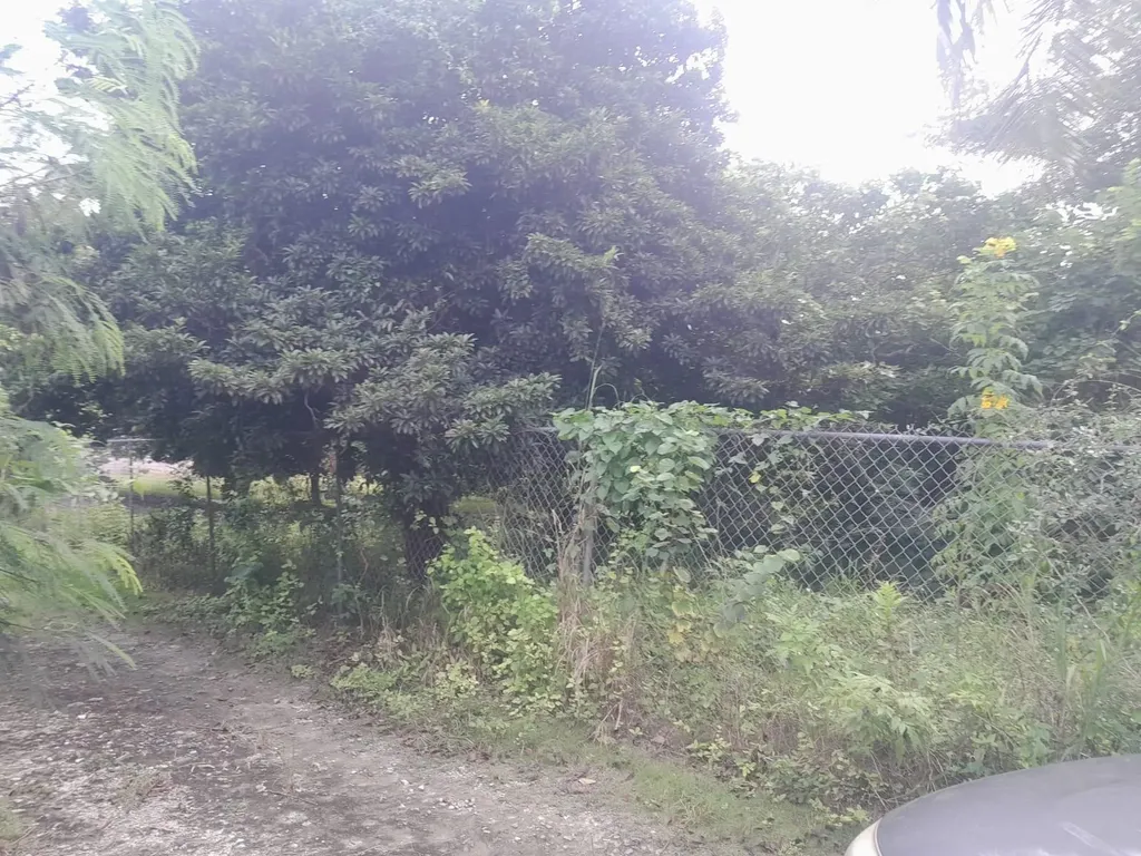 Lot 8 & 10 Ferguson Villa New Providence Paradise Island BS