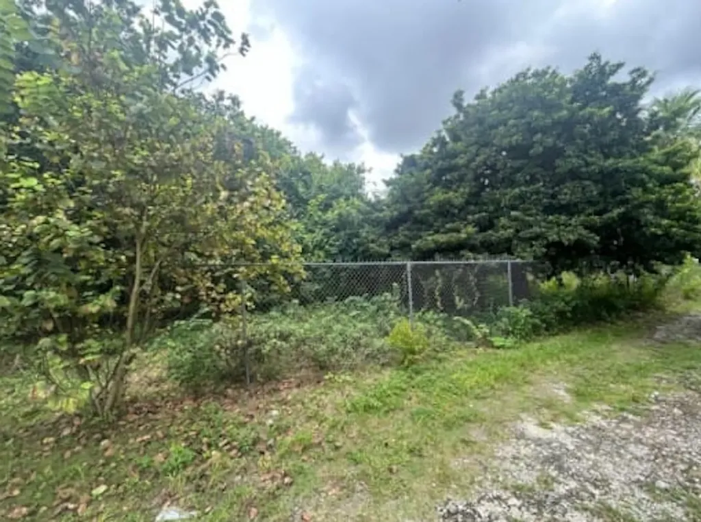 Lot 8 & 10 Ferguson Villa New Providence Paradise Island BS