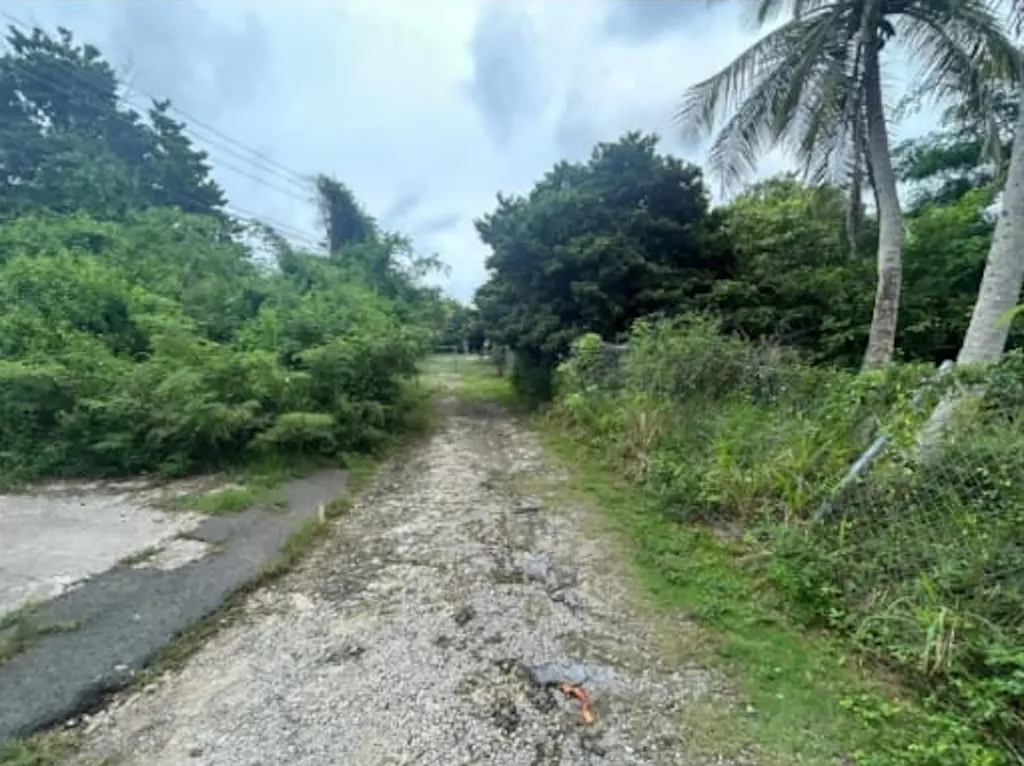 Lot 8 & 10 Ferguson Villa New Providence Paradise Island BS