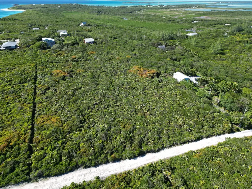 Yelllow Wood Hilltop 19 N Abaco BS