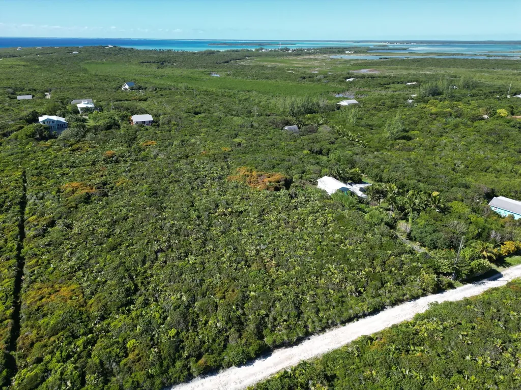 Yelllow Wood Hilltop 19 N Abaco BS