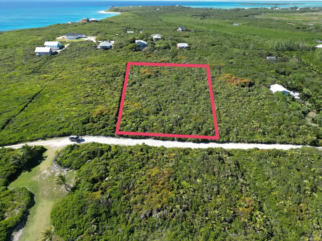 Yelllow Wood Hilltop 19 N Abaco BS