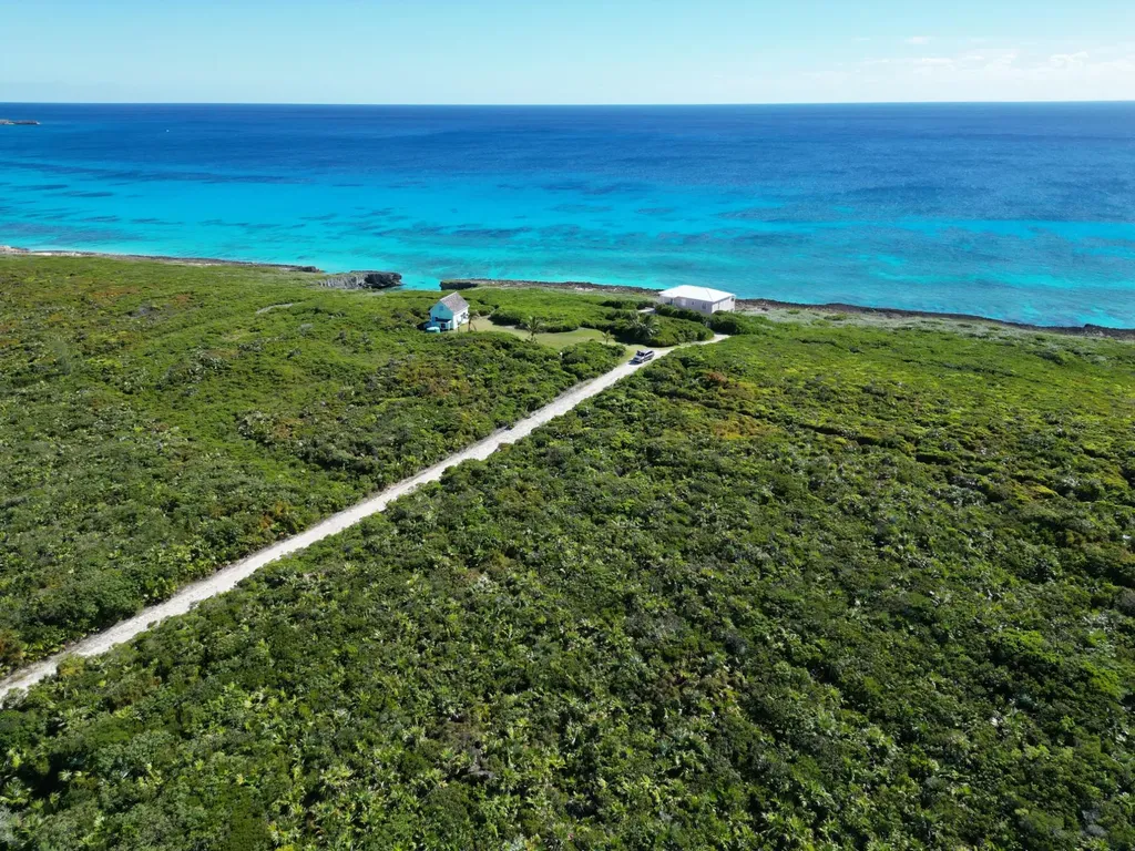 Yelllow Wood Hilltop 19 N Abaco BS