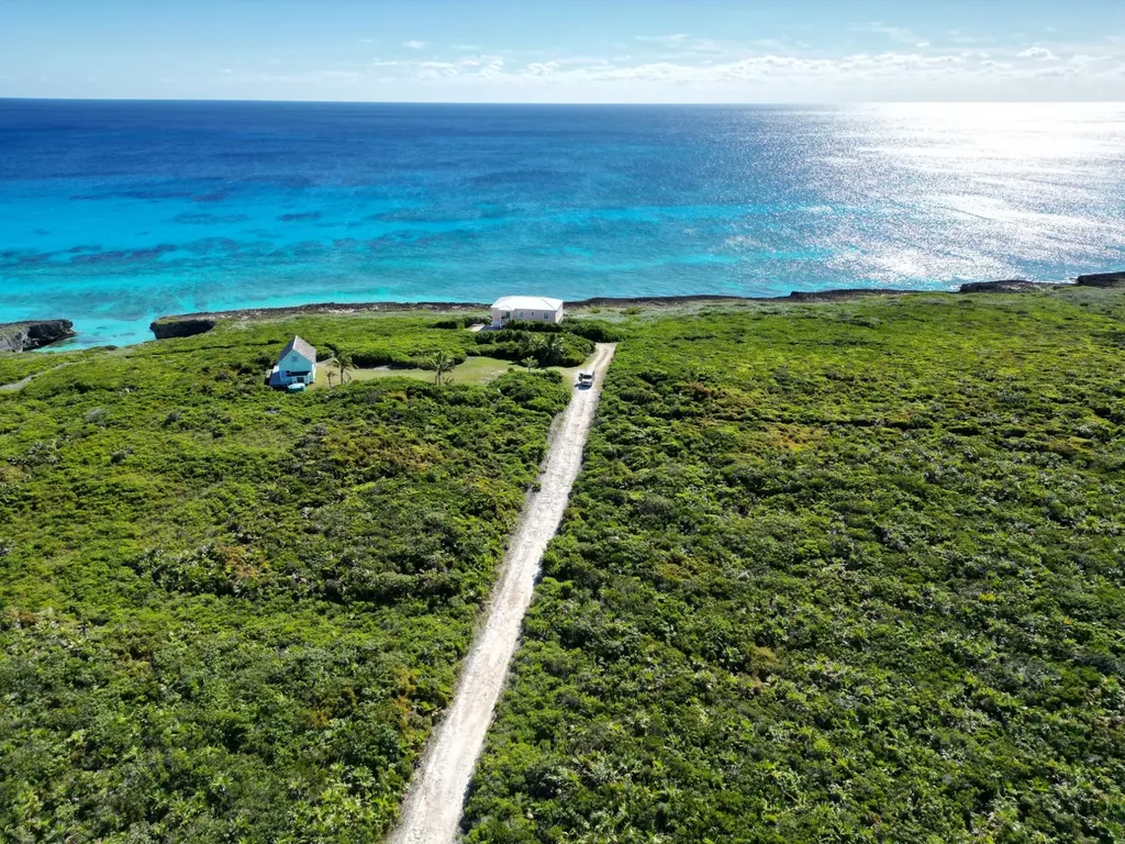 Yelllow Wood Hilltop 19 N Abaco BS